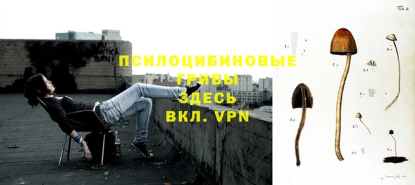 шишки Баксан