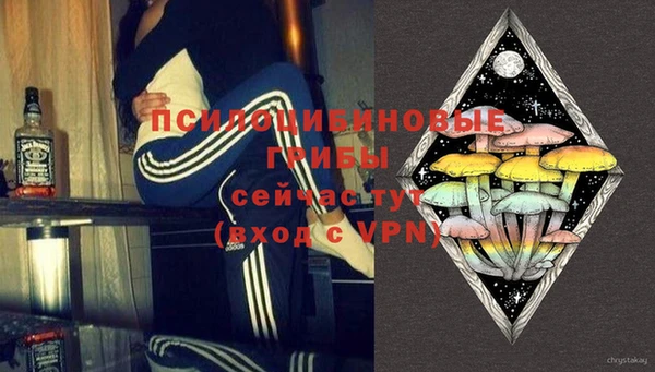 шишки Баксан