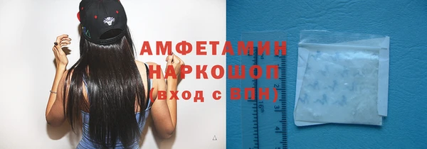шишки Баксан