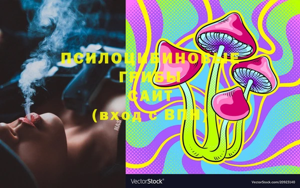 шишки Баксан